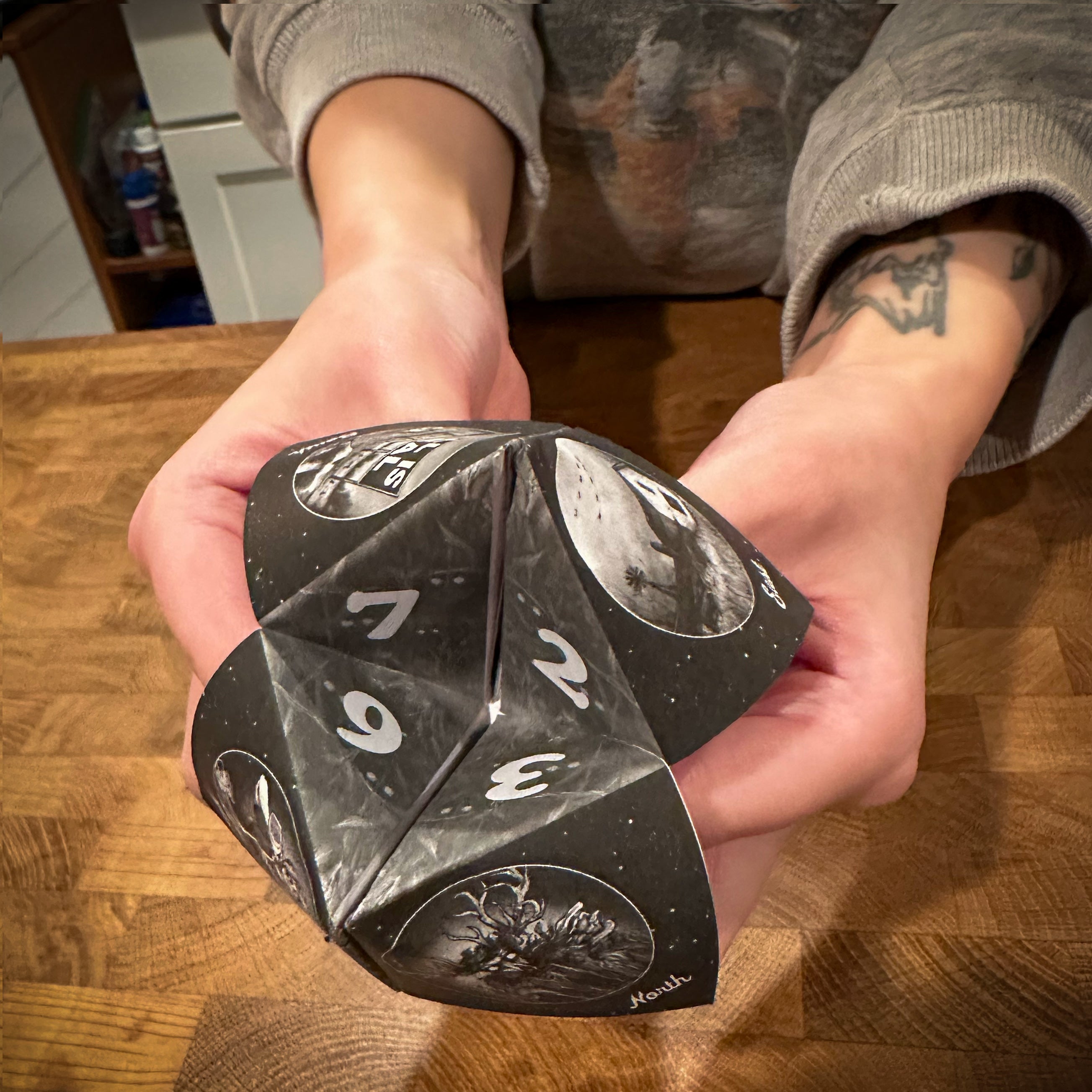 The Midwest Gothic Oracle Fortune Teller
